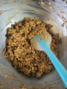 Oatmeal Bars Batter